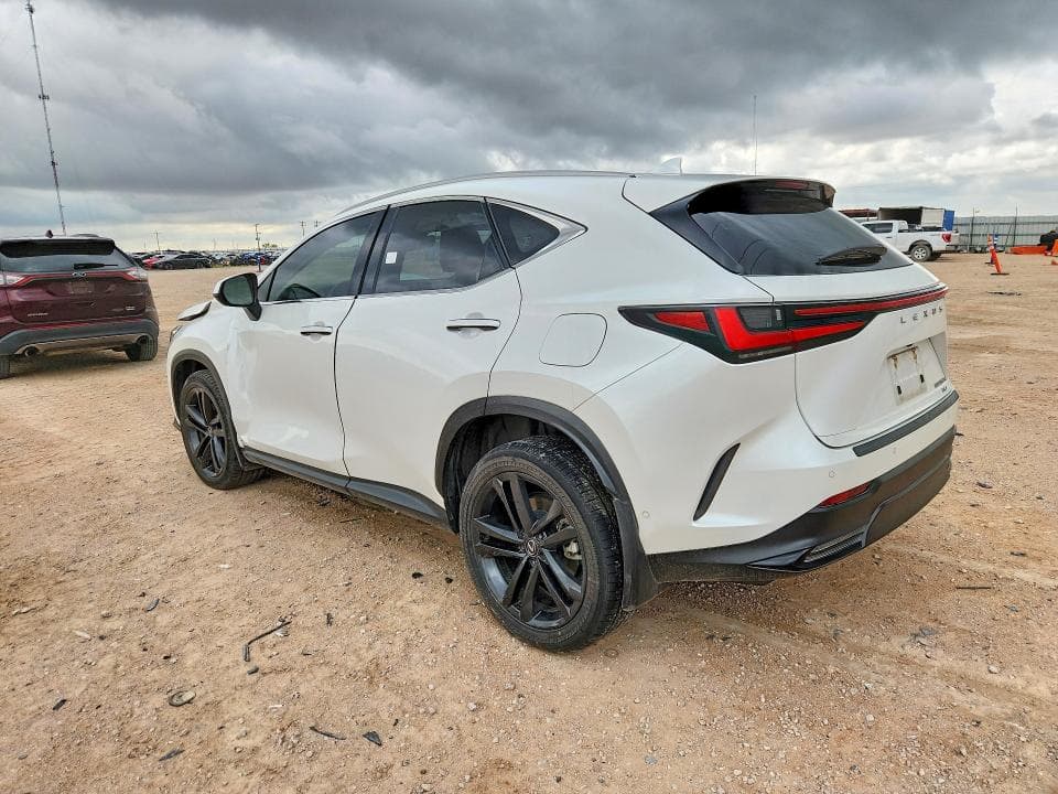 2024 LEXUS NX 450H+ BASE 2