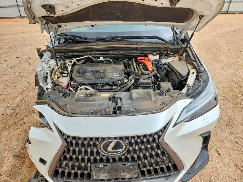 2024 LEXUS NX 450H+ BASE 11
