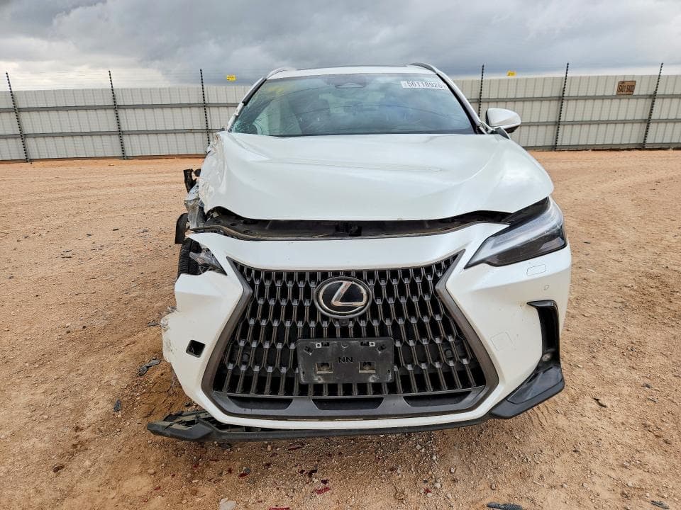 2024 LEXUS NX 450H+ BASE 5