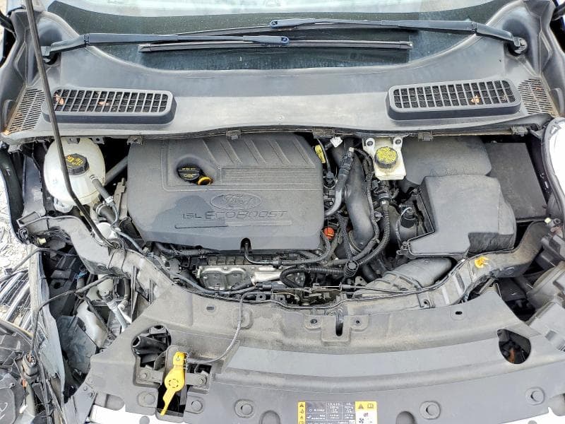 2019 FORD ESCAPE SE 12