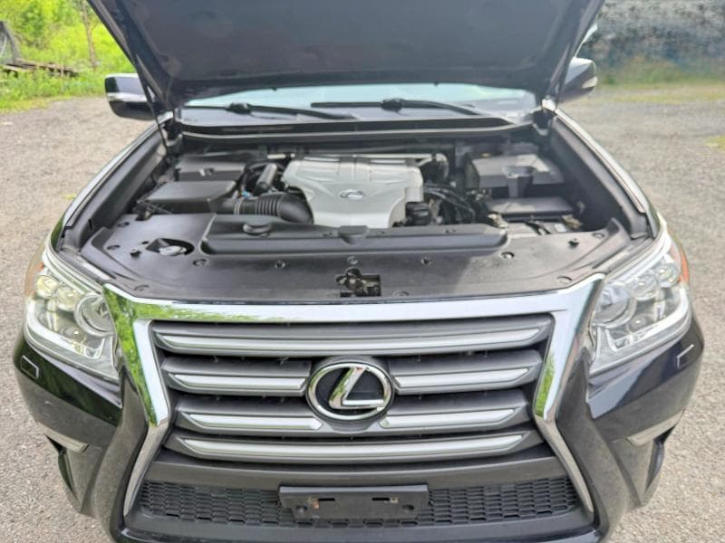 2019 LEXUS GX 460 8