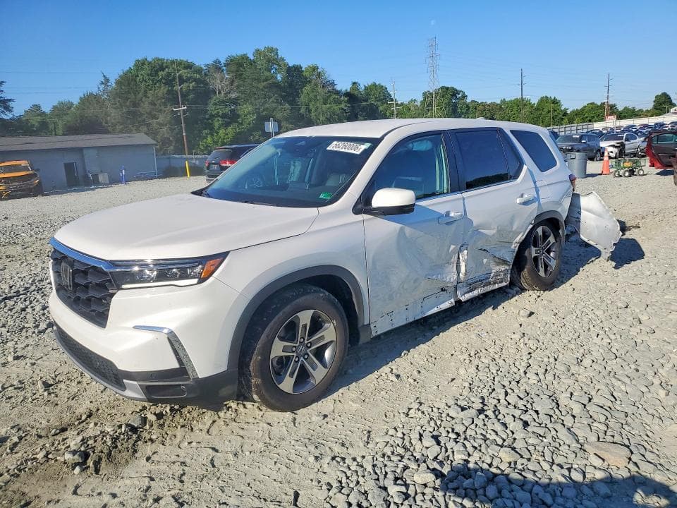 2025 HONDA PILOT EXL - 1
