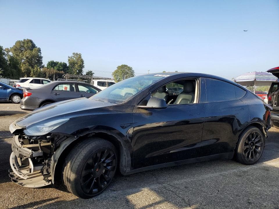 2021 TESLA MODEL Y - 1