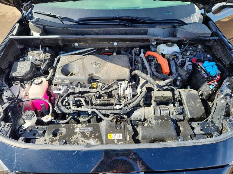 2019 TOYOTA RAV4 LIMITED LIMITED 11