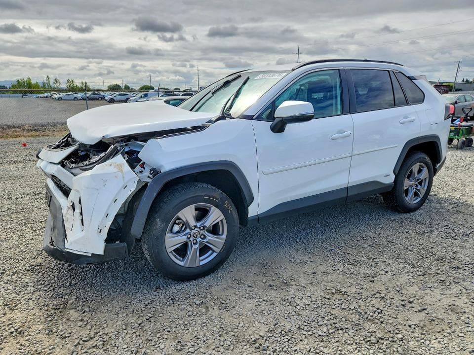 2023 TOYOTA RAV4 LE LE - 1