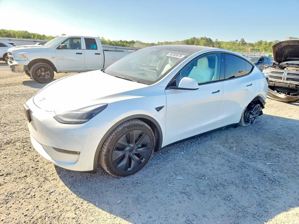 2024 TESLA MODEL Y - 1