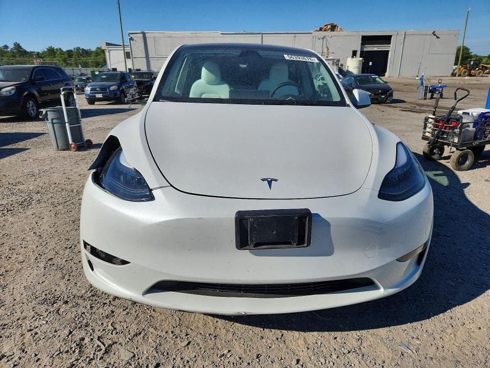 2024 TESLA MODEL Y 5