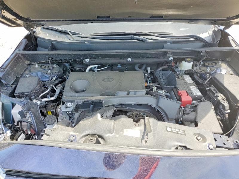 2025 TOYOTA RAV4 XLE PREMIUM XLE PREMIUM 12