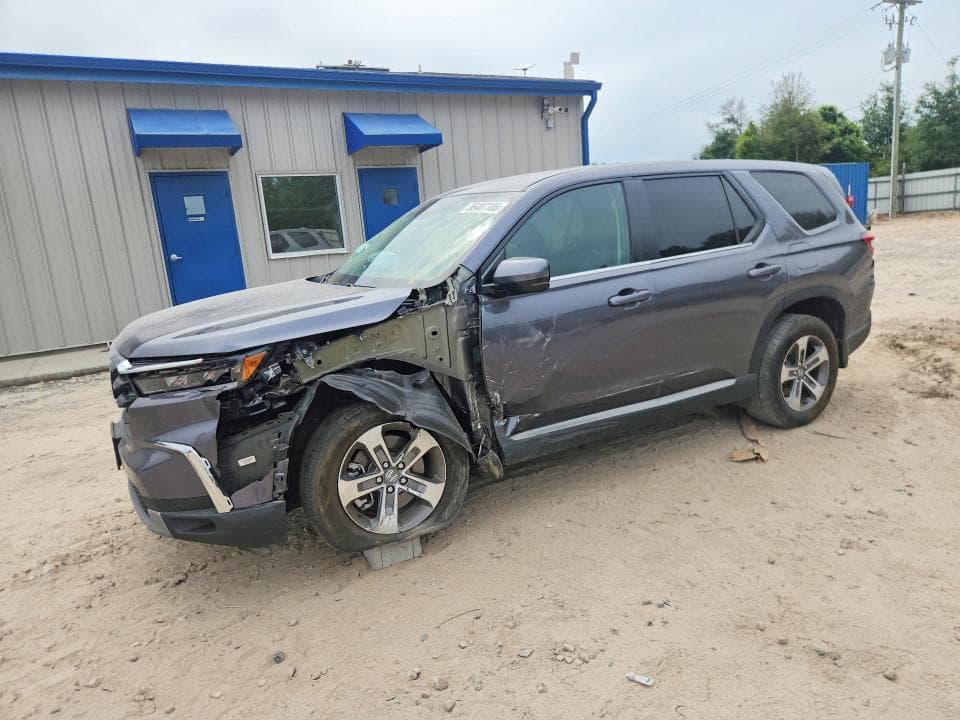 2025 HONDA PILOT EXL EXL - 1