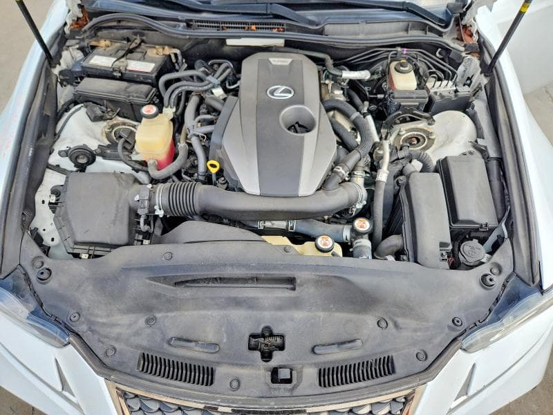 2019 LEXUS IS 300 11