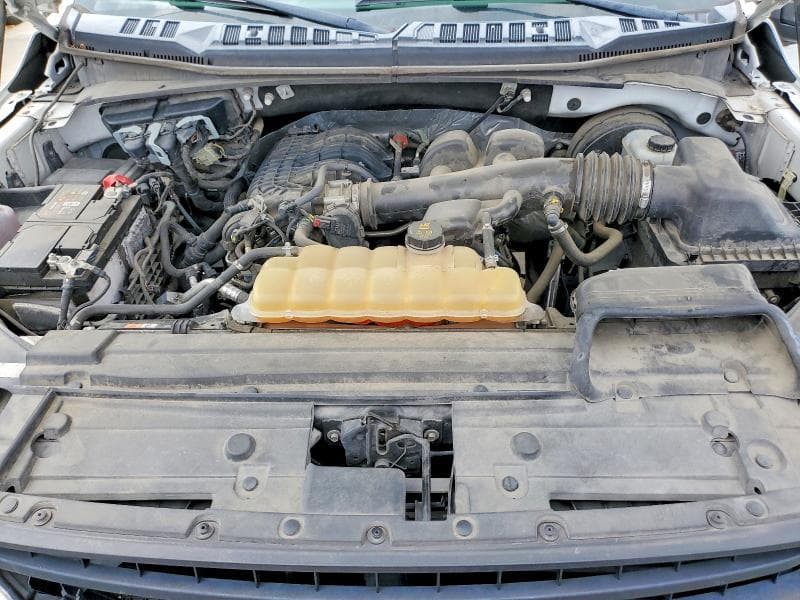 2019 FORD F150 11