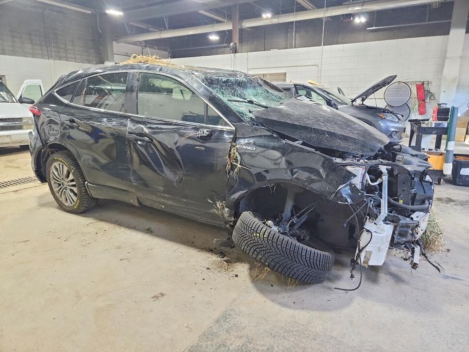 2021 TOYOTA VENZA LIMITED LIMITED 4