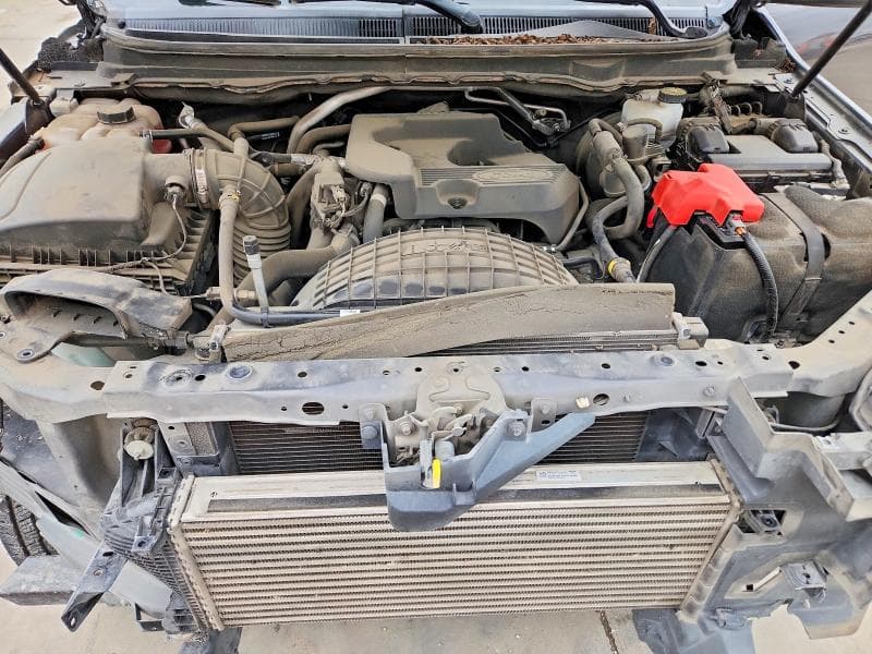 2019 FORD RANGER XL XL 11
