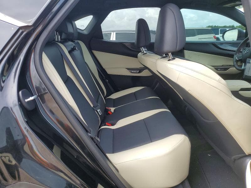 2024 LEXUS NX 350 PREMIUM 11