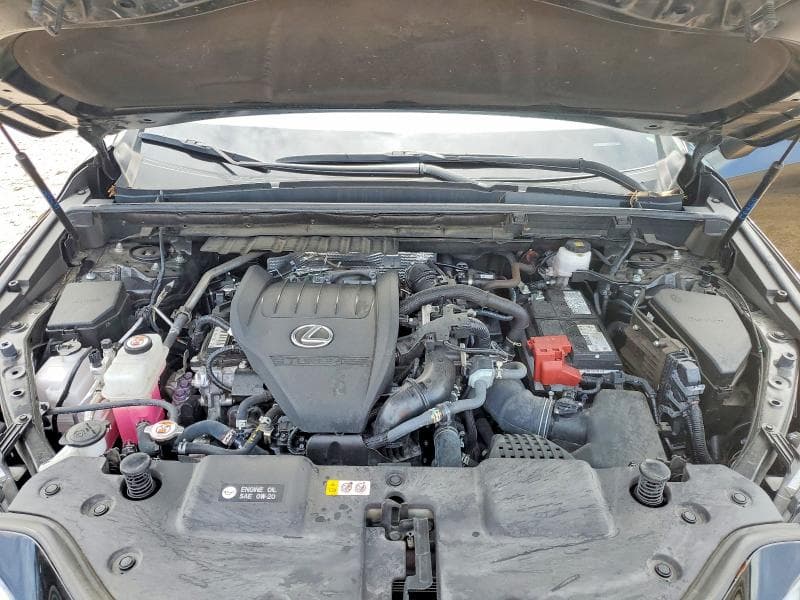 2024 LEXUS NX 350 PREMIUM 12