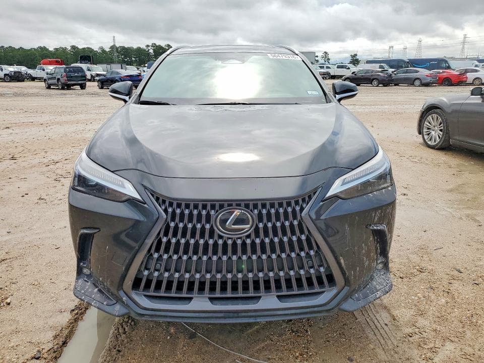 2024 LEXUS NX 350 PREMIUM 5