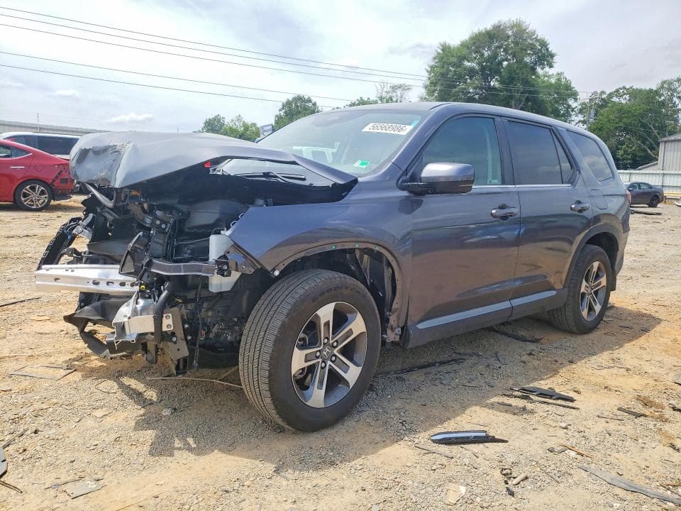 2025 HONDA PILOT EXL - 1