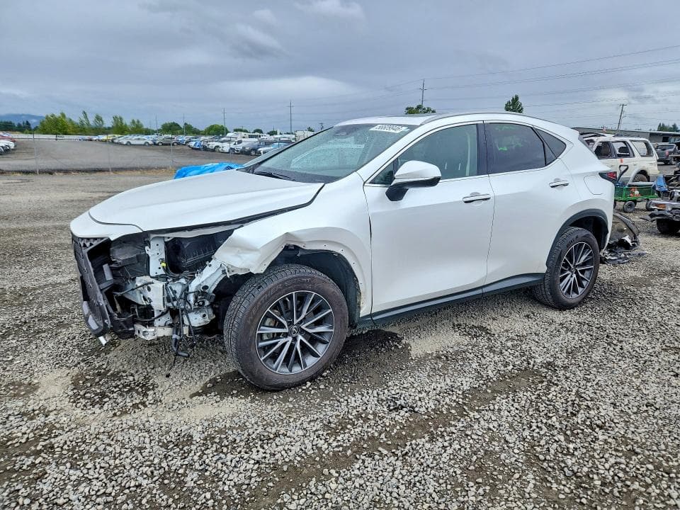 2023 LEXUS NX 350H 350H - 1