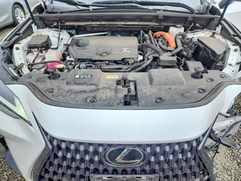 2023 LEXUS NX 350H 350H 12
