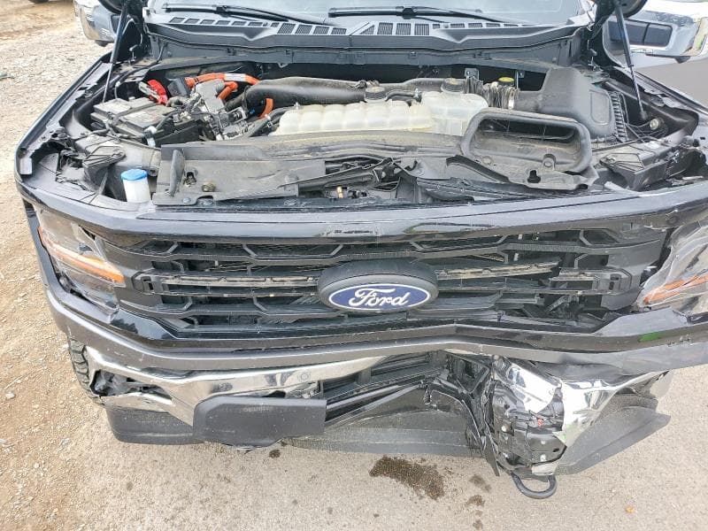 2024 FORD F150 XLT 11