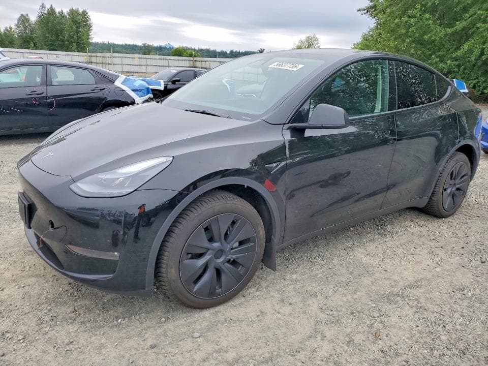 2025 TESLA MODEL Y - 1