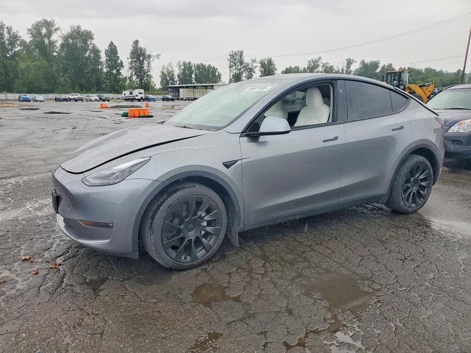 2025 TESLA MODEL Y 1