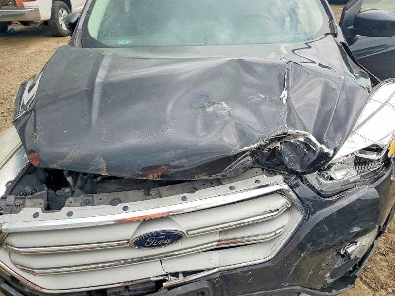 2019 FORD ESCAPE SEL 12