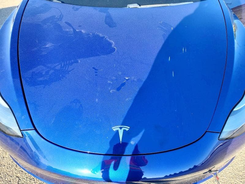 2020 TESLA MODEL 3 11