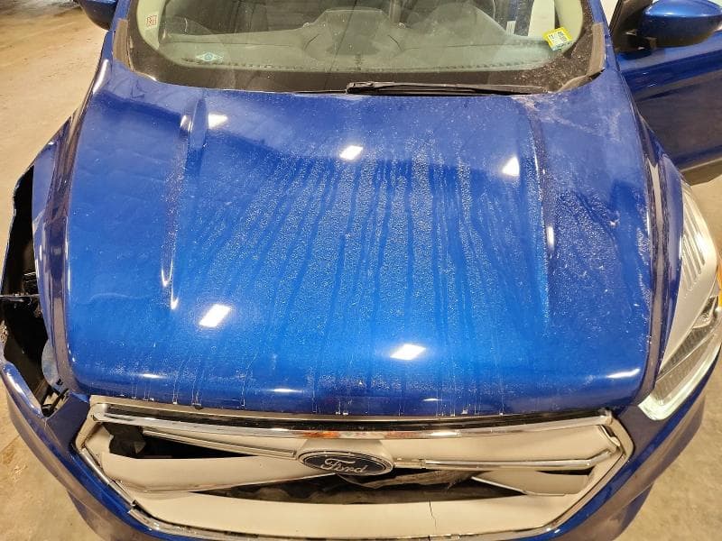 2019 FORD ESCAPE SEL SEL 12