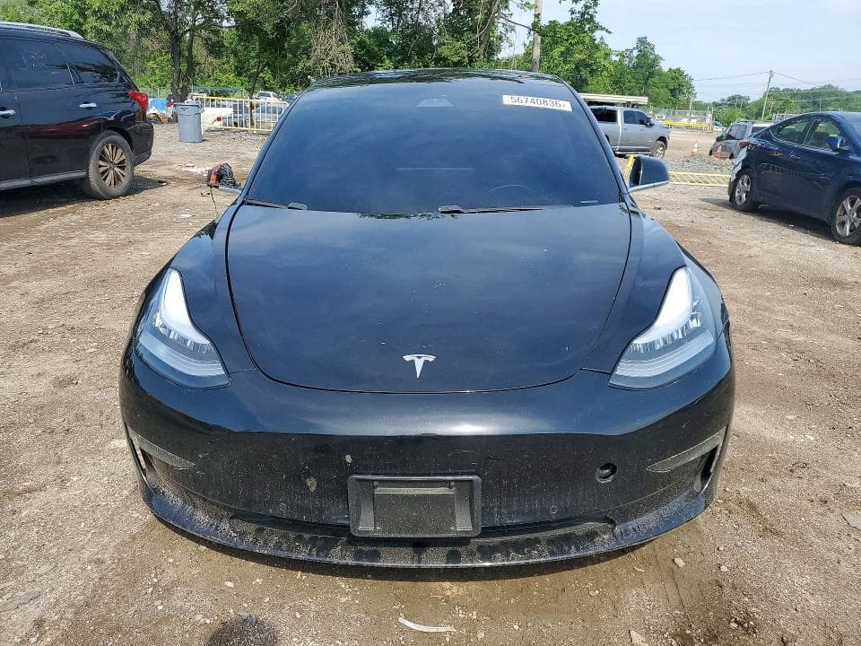 2019 TESLA MDL 3 5