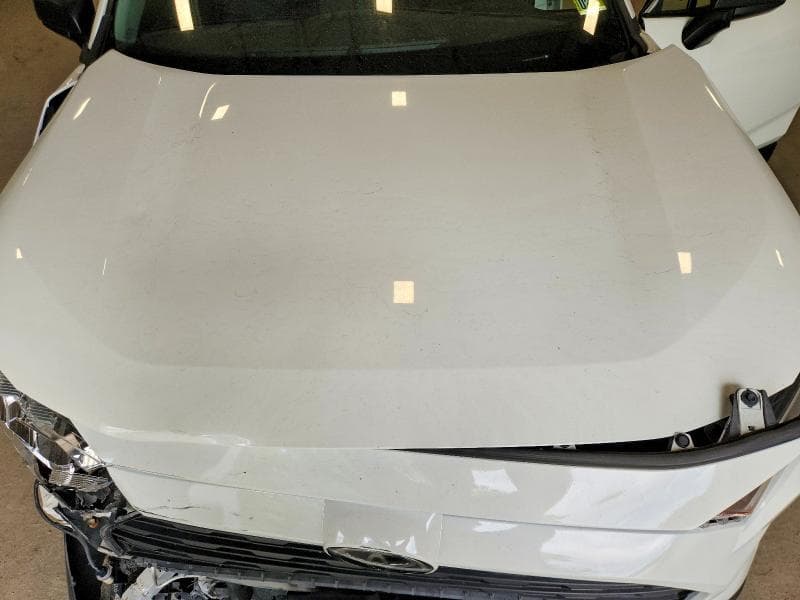 2019 TOYOTA RAV4 LE LE 12