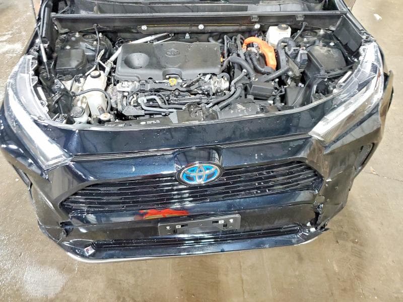 2023 TOYOTA RAV4 SE SE 11