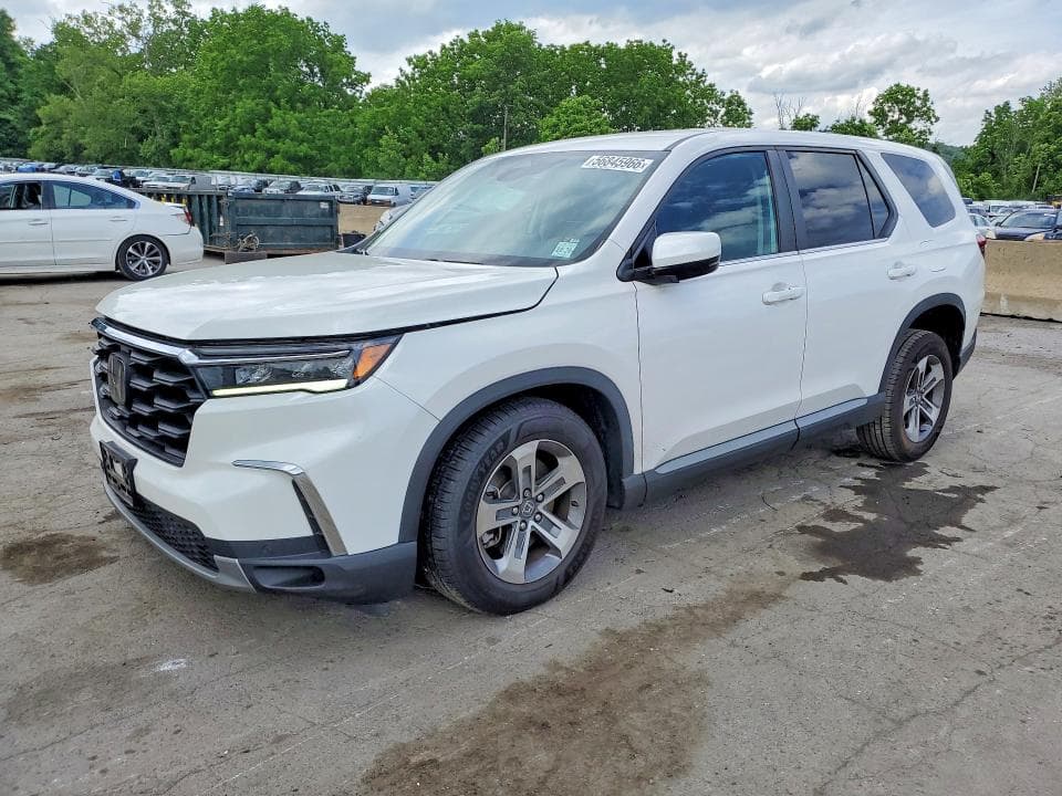 2024 HONDA PILOT EXL - 1