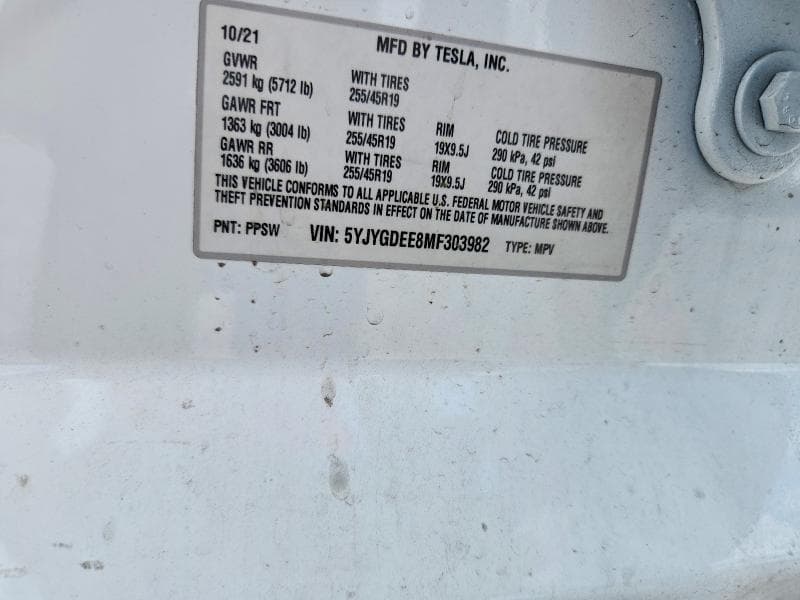 2021 TESLA MODEL Y 12