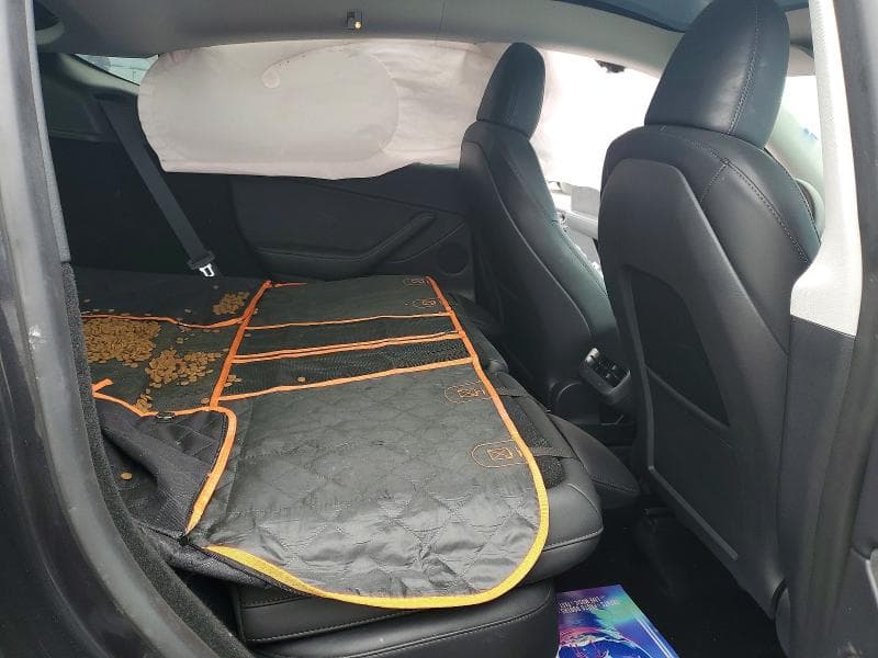 2024 TESLA MODEL Y 11