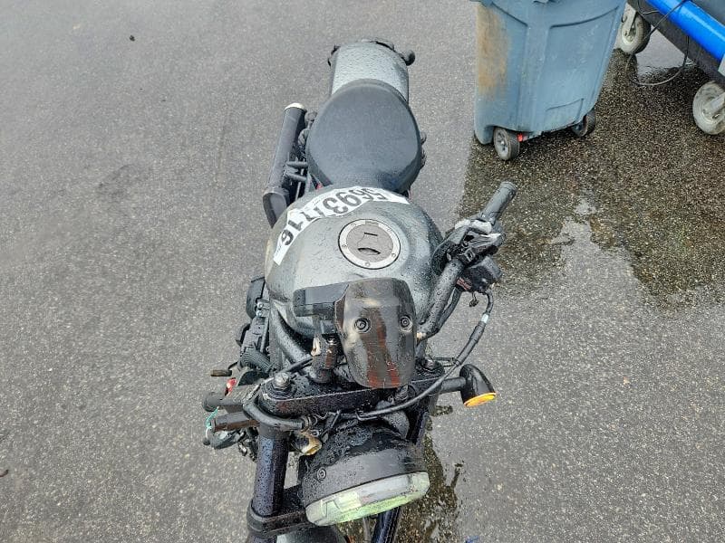 2024 HONDA CMX1100 D D 5