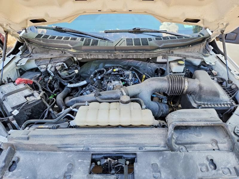 2024 FORD F150 XL 11