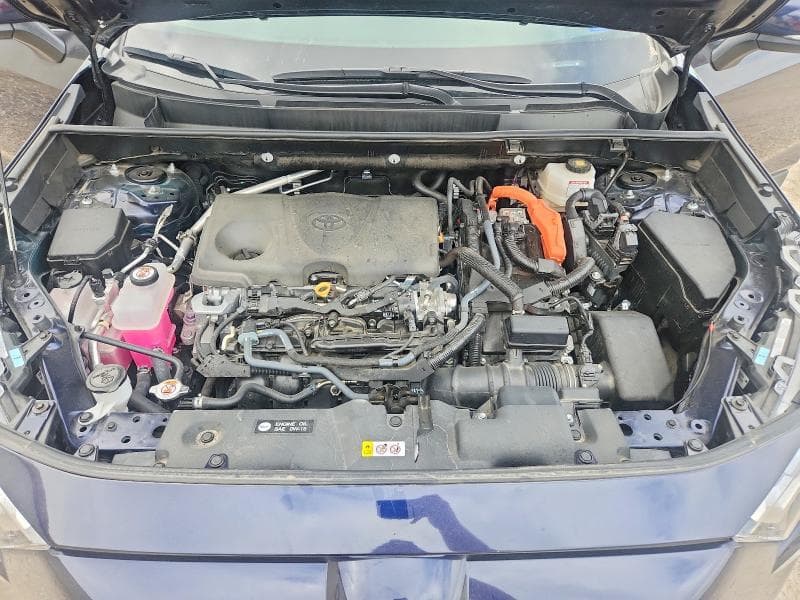2024 TOYOTA RAV4 XLE PREMIUM 12