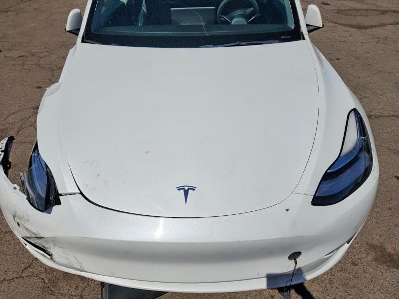 2022 TESLA MODEL Y 11