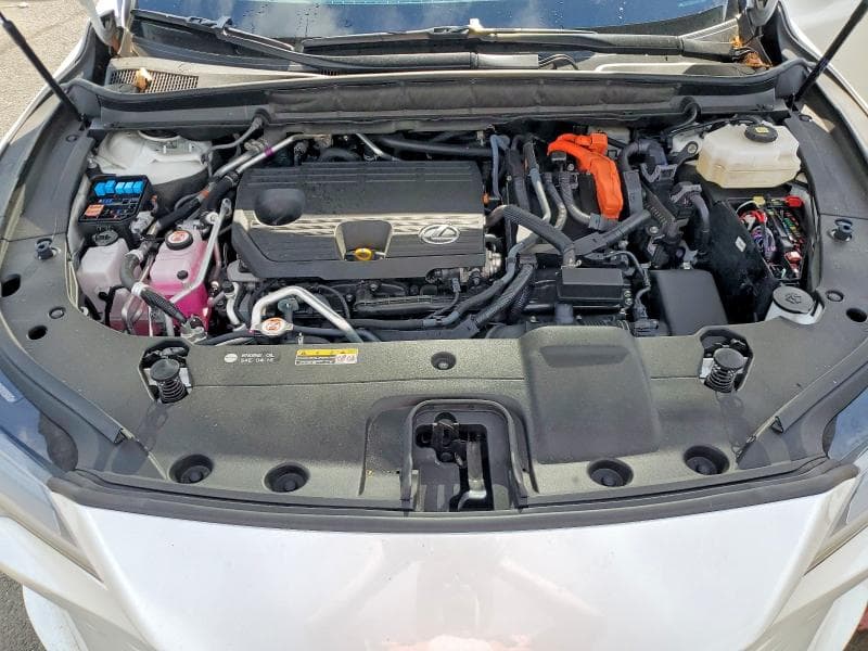 2024 LEXUS RX 450H+ LUXURY 12