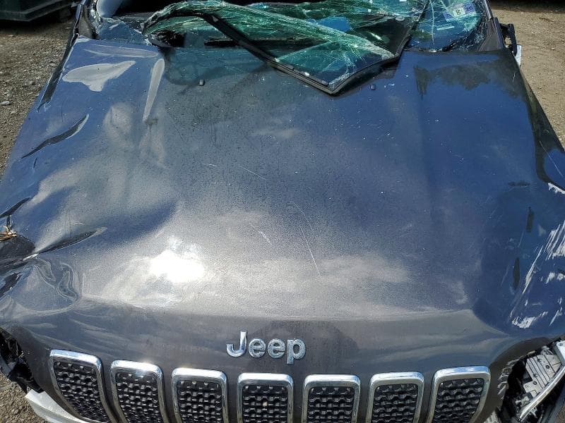 2019 JEEP CHEROKEE LIMITED 12