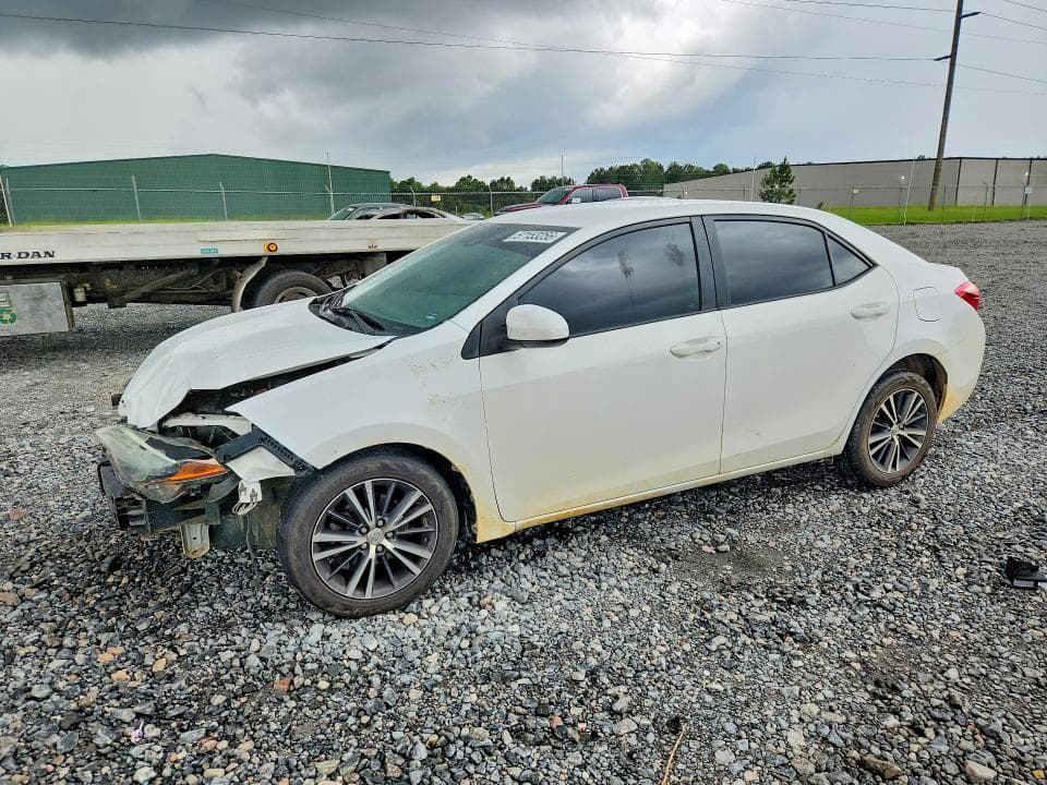 2019 TOYOTA COROLLA LE LE - 1