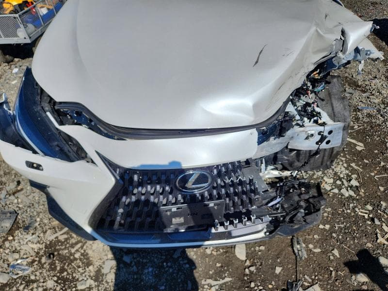 2025 LEXUS NX 450H+ BASE 12