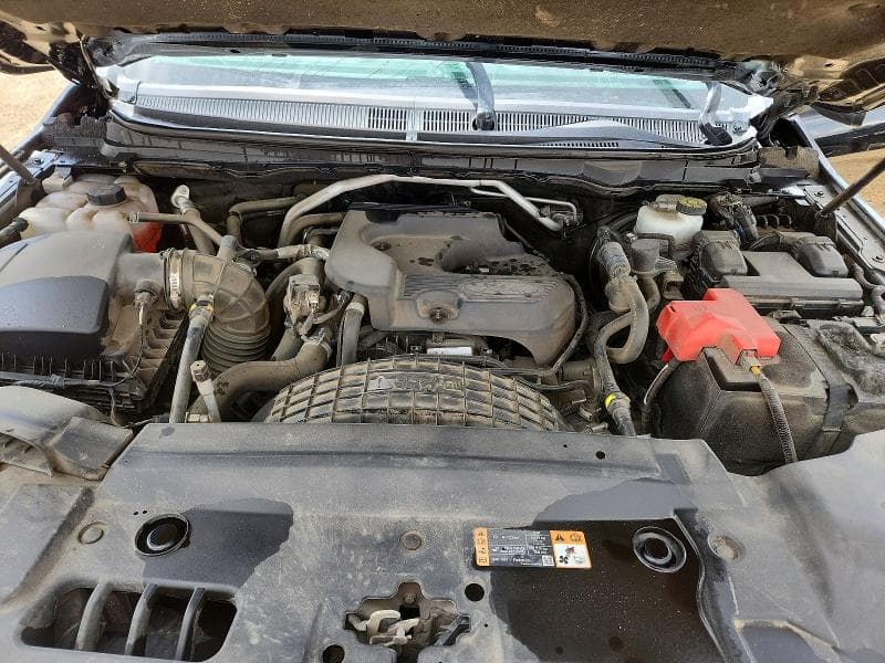 2019 FORD RANGER XL 12
