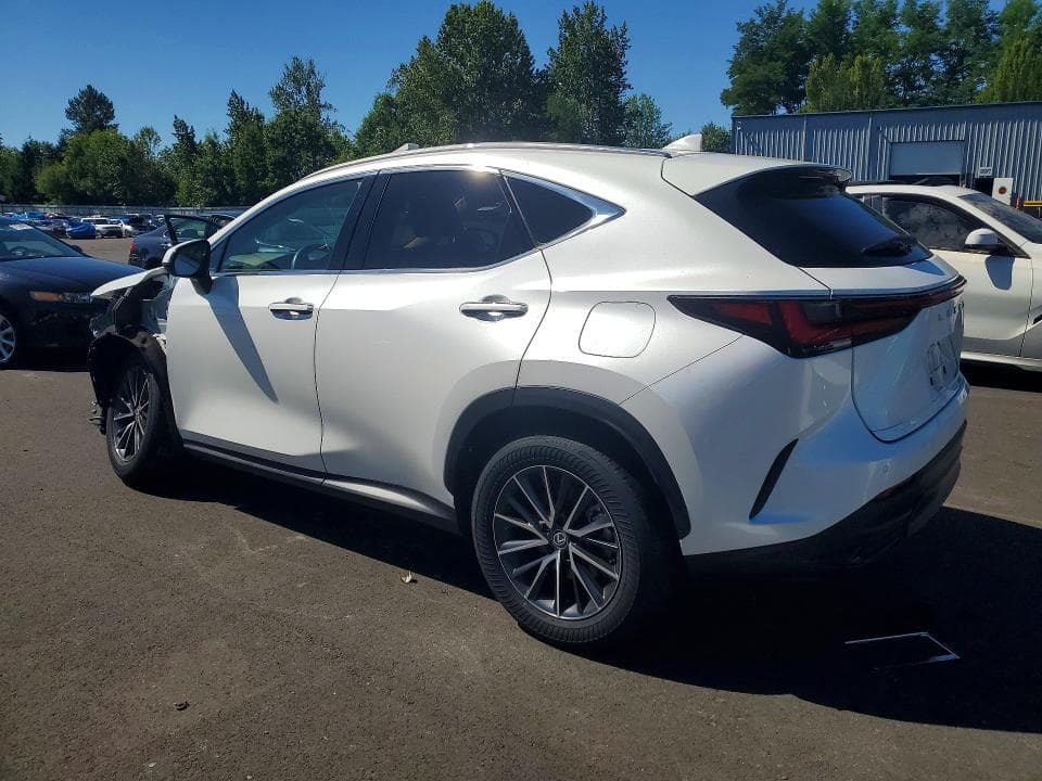 2024 LEXUS NX 350H PREMIUM 2