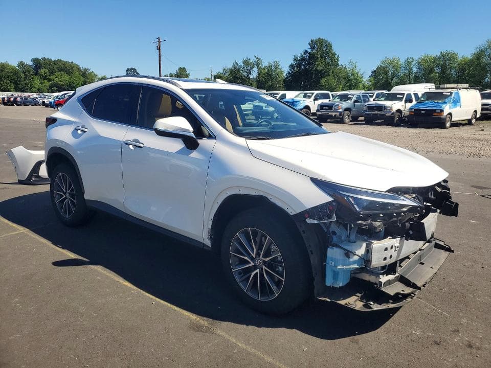 2024 LEXUS NX 350H PREMIUM 4