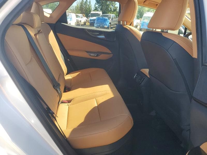 2024 LEXUS NX 350H PREMIUM 10