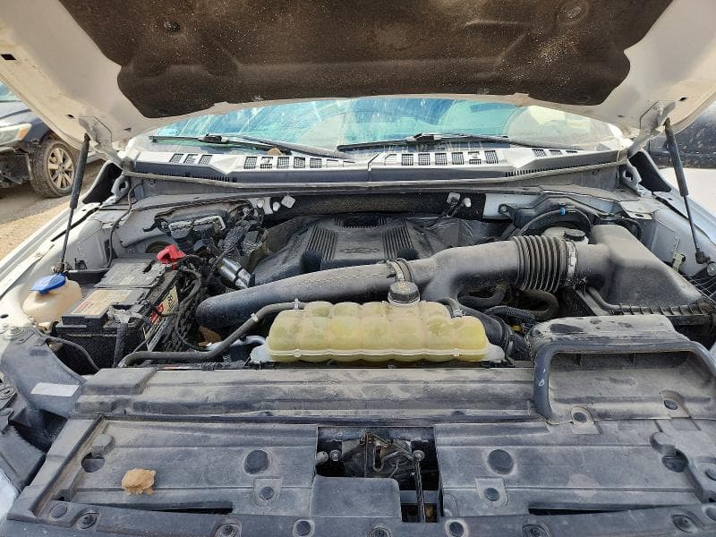 2019 FORD F150 SUPERCREW SUPERCREW 11
