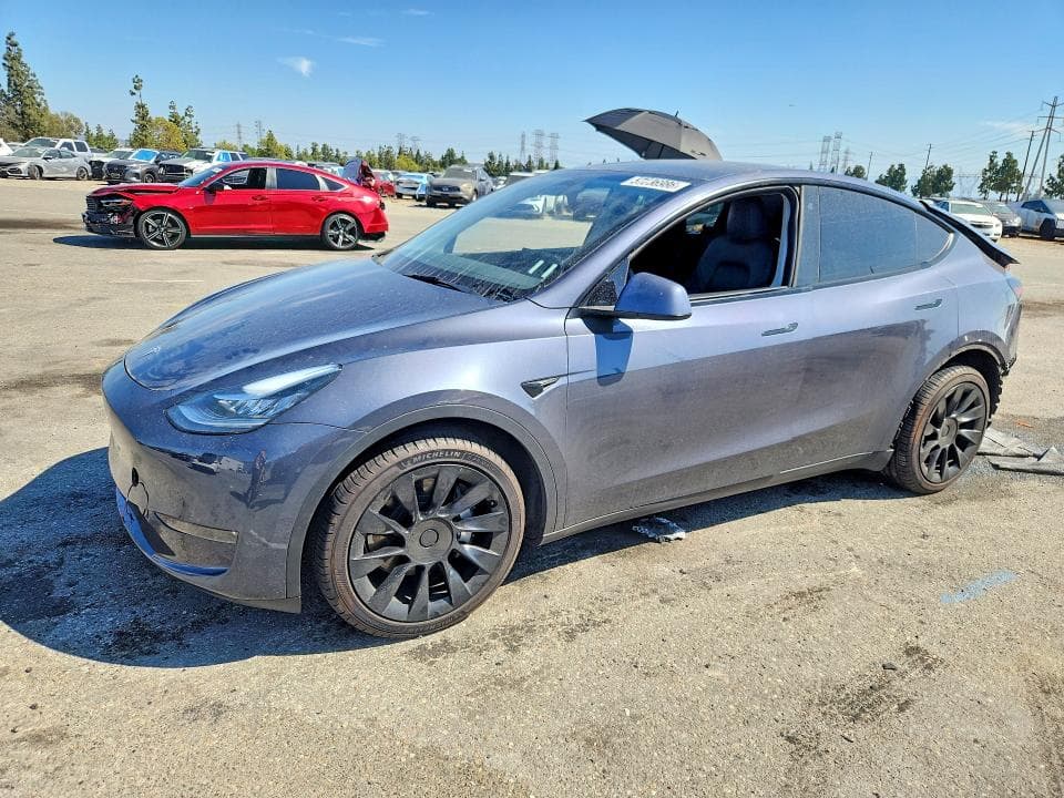 2023 TESLA MODEL Y - 1