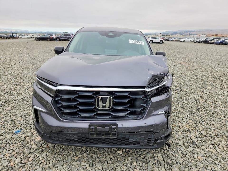 2024 HONDA PILOT LX 5